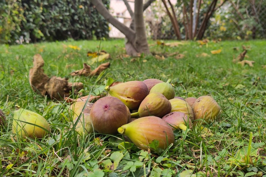 Herbst im Coworking Space Sargans
